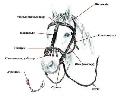 Стана Катичпен бірге порно видео