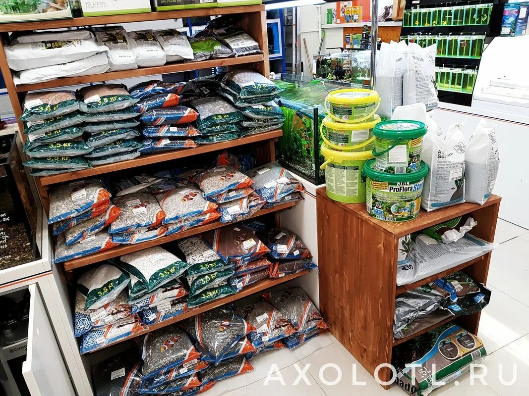 Лавка аквариумиста спб говорова. Говорова 35 корпус 5 лавка аквариумиста. Лавка аквариумиста маршала говорова 35 корп 5. Аксолотль магазин лавка аквариумиста. Лавка аквариумиста, маршала говорова, 35 корп.