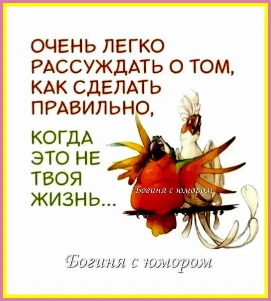 Ума не приложу значение. Пословица чужую беду руками разведу продолжение. чужую беду руками разведу. чужую беду руками разведу а к своей ума. чужую беду руками разведу продолжение.