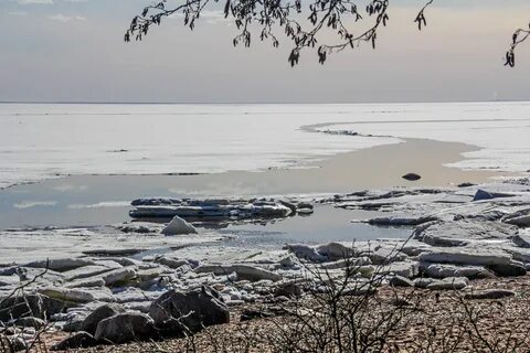 Вода в финском заливе
