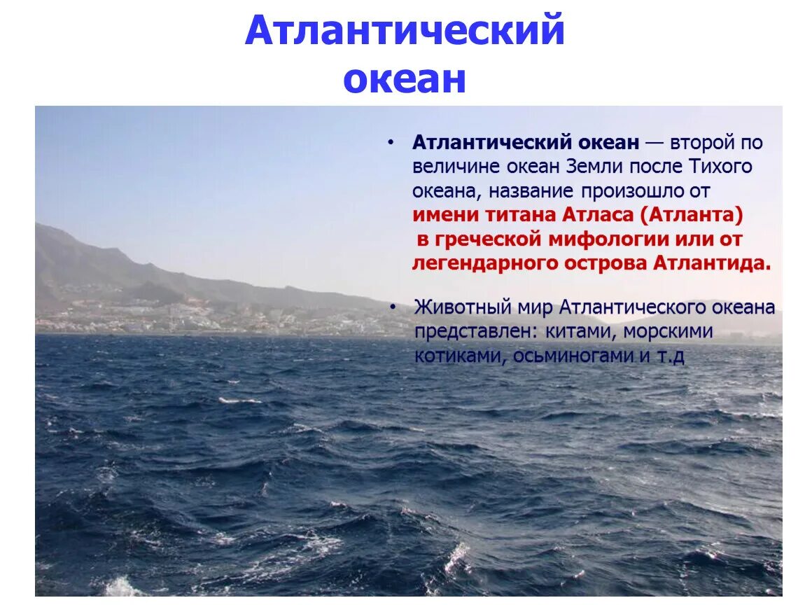 Люди в океане кратко. Ширина Атлантического океана. Характеристика Атлантического океана. Краткая характеристика Атлантического океана. Атлантический океан хозяйская деятельность.
