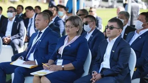 Акипресс кж