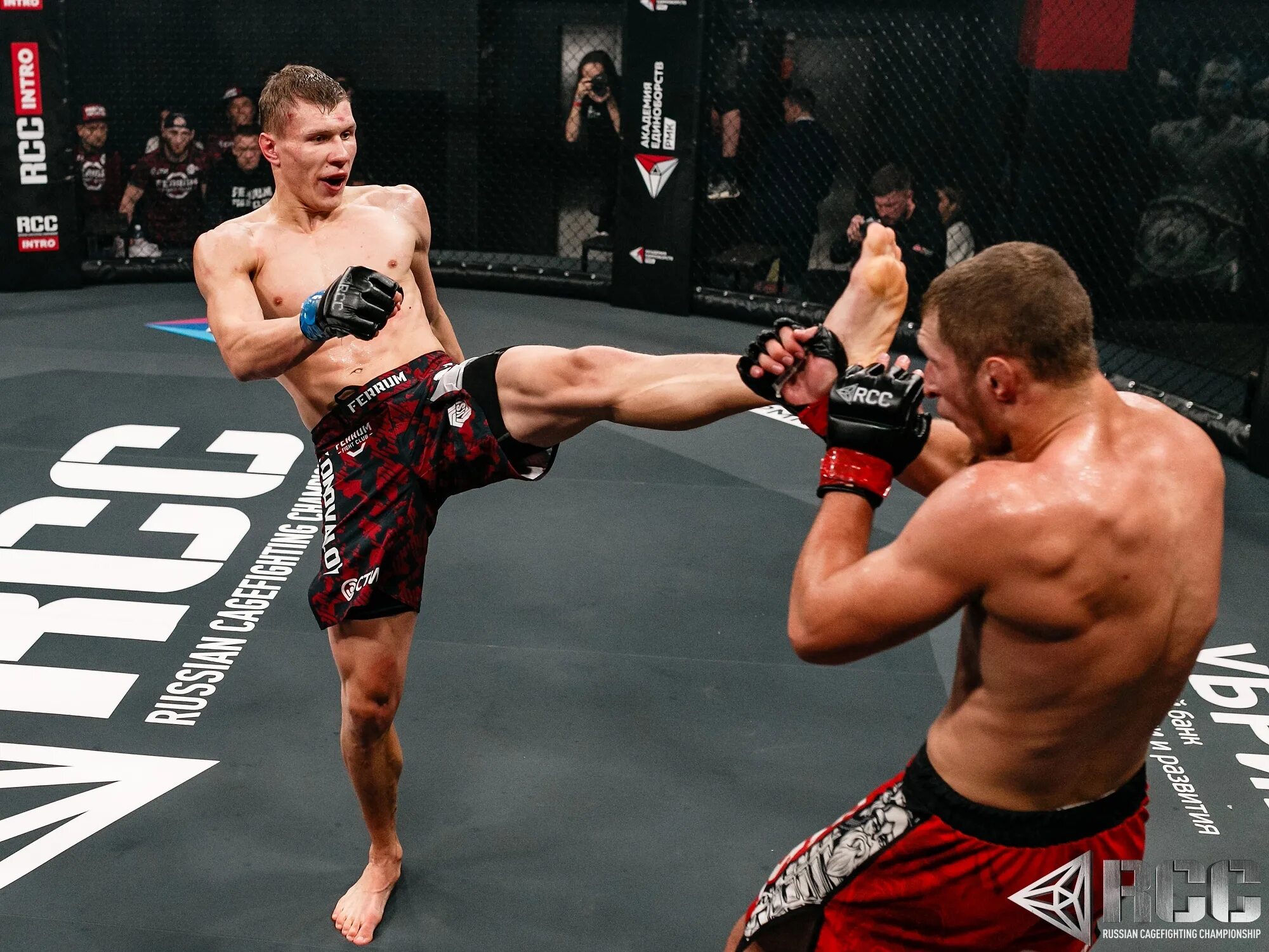 Весовые категории в рукопашном бое 12-13 лет. Максим грабович. Боев н м. Майкл чендлер ufc. Боев н м.