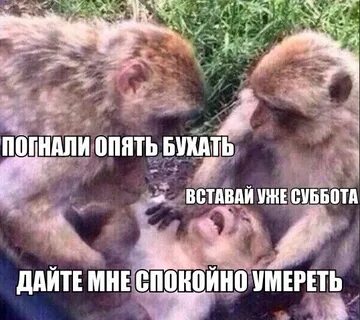 Соберись прикол