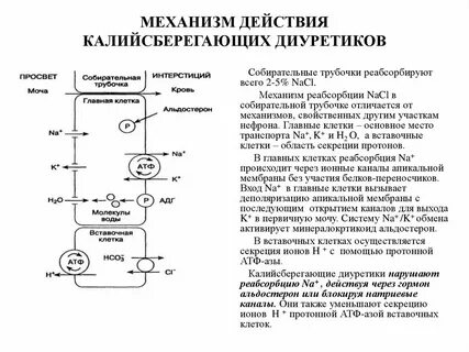 Реабсорбция гормон