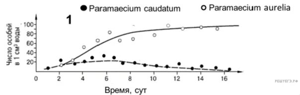 P. caudatum and p. Aurelia.