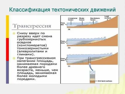Определите вид тектонического движения