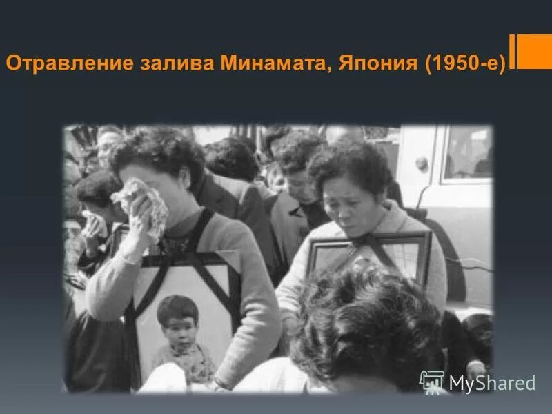 Юджин смит фотограф япония. Юджин смит фотографии минамата. Болезнь минамата фотограф юджин смит. Отравление залива минамата, япония (1950-е). Минамата отравление.