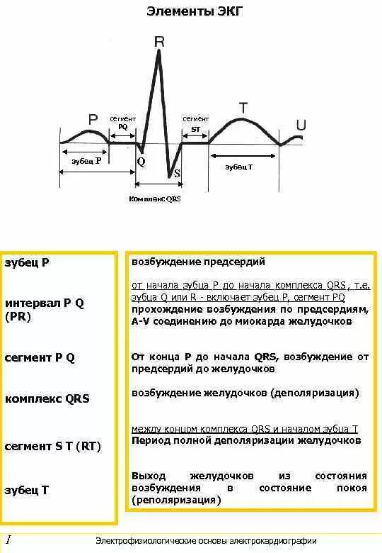 Зубец в сегменте st