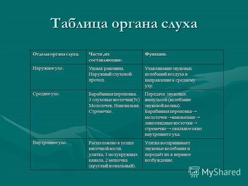 Строение и функции наружного уха. Строение органа слуха таблица строение и функции. Ушная раковина строение и функции таблица. Строение уха наружное среднее внутреннее таблица. Установите соответствие между отделами органа слуха