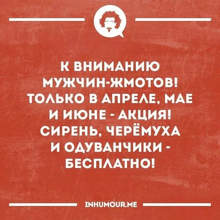 Шутки про жадных мужчин. Интеллектуальный юмор в картинках. Шутки про мужскую жадность. Смешные цитаты про мужчин. Про жадных мужчин