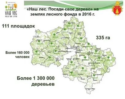 Лесные карты московской