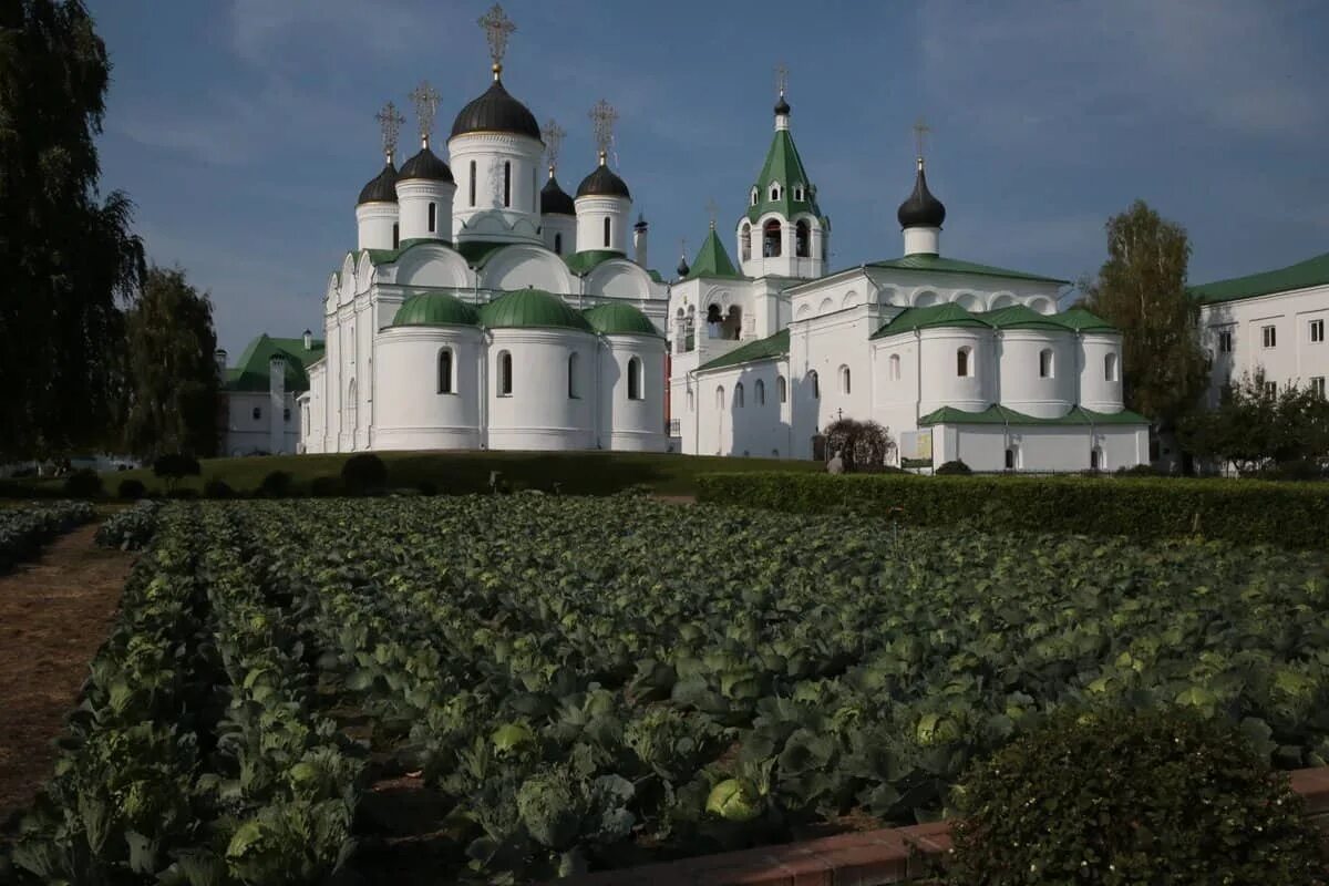 Древности монастыря. Спасо-Преображенский мужской монастырь. Монастырские храмы России. Спасо-Преображенский Геннадиев мужской монастырь. Спасо-Преображенский монастырь Старая Русса.