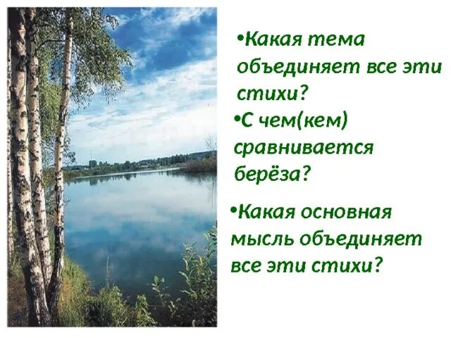 Березовая какое число