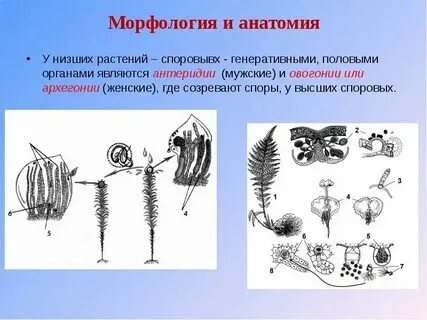 Генеративные инструменты