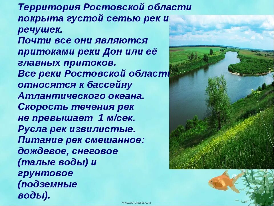 Температура в реке дон ростове. Реки и водоемы Ростовской области. Реки нашего края Ростовская область. Доклад про Ростовскую область. Доклад на тему Ростовская область.