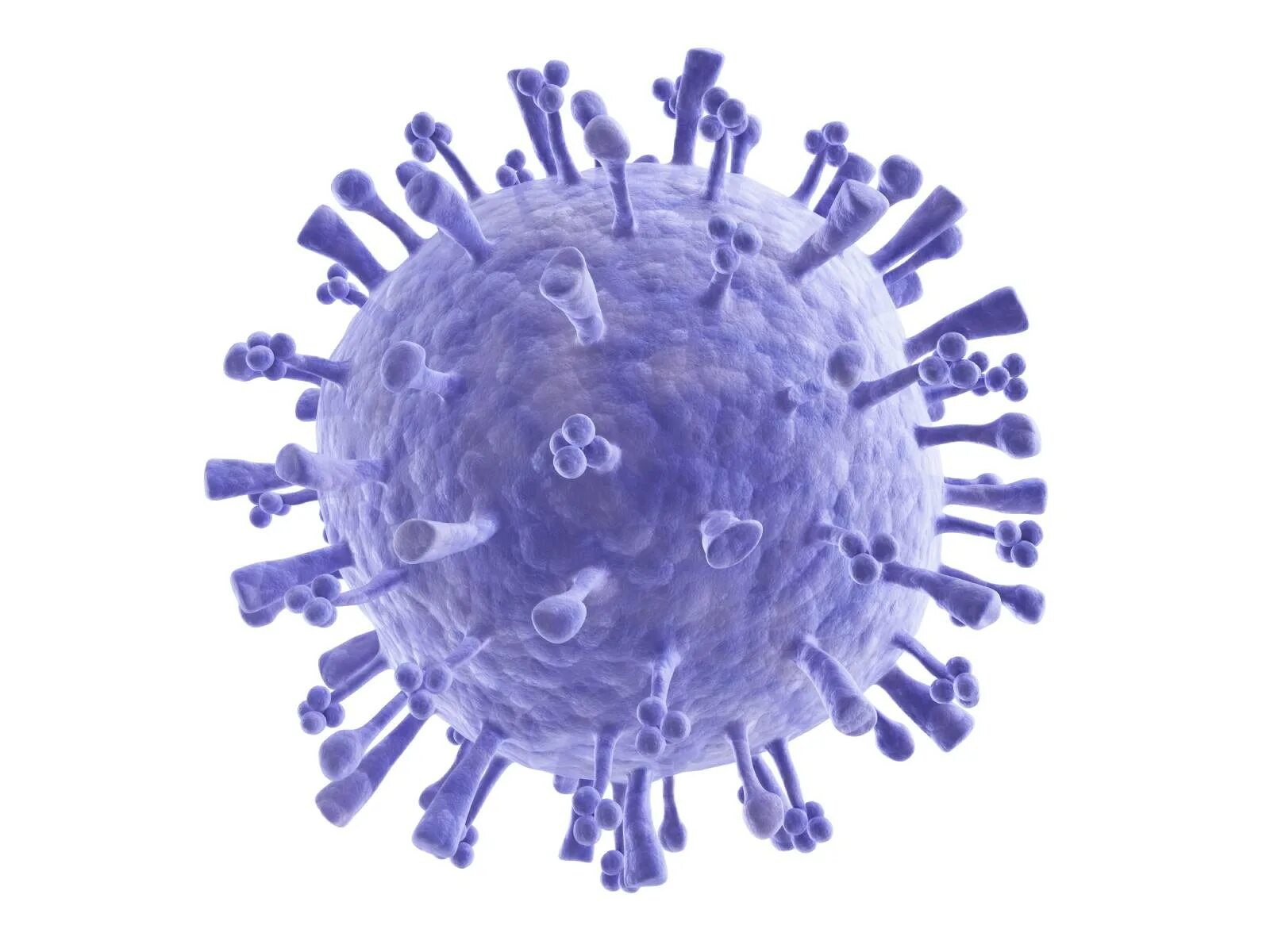 Орви клетка. H2n2 вирус. Вирус гриппа h1n1. Coronavirus бактерия. Коронавирус молекула.