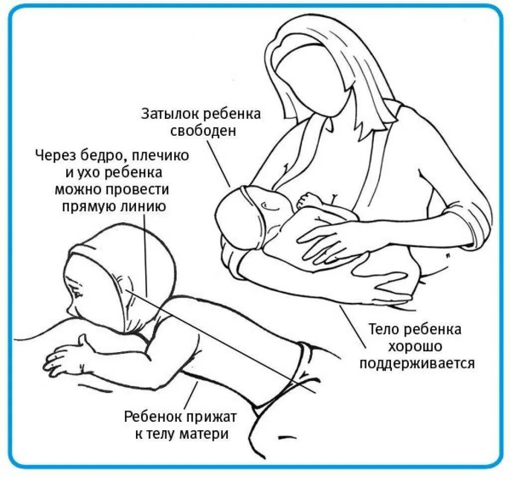 В каком положении лучше держать руки. Правильное грудное вскармливание схема. Схема кормления грудью новорожденного. Как правильно прикладывать ребенка для кормления новорожденного. Как правильно держать новорожденного ребенка при кормлении грудью.