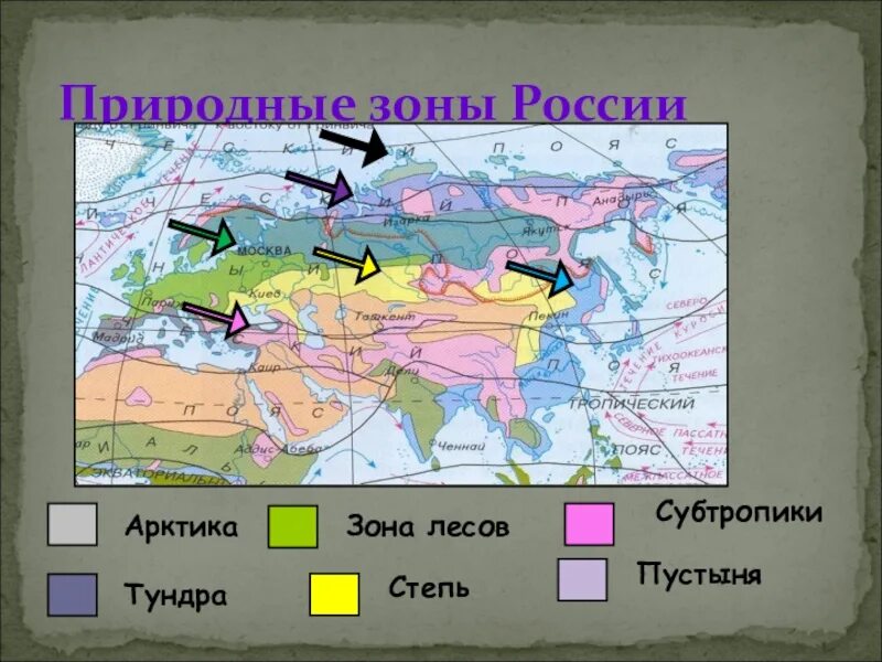 Природные зоны России. Карта природных зон. Природные сезоныроссиии. Карта природных зон России.