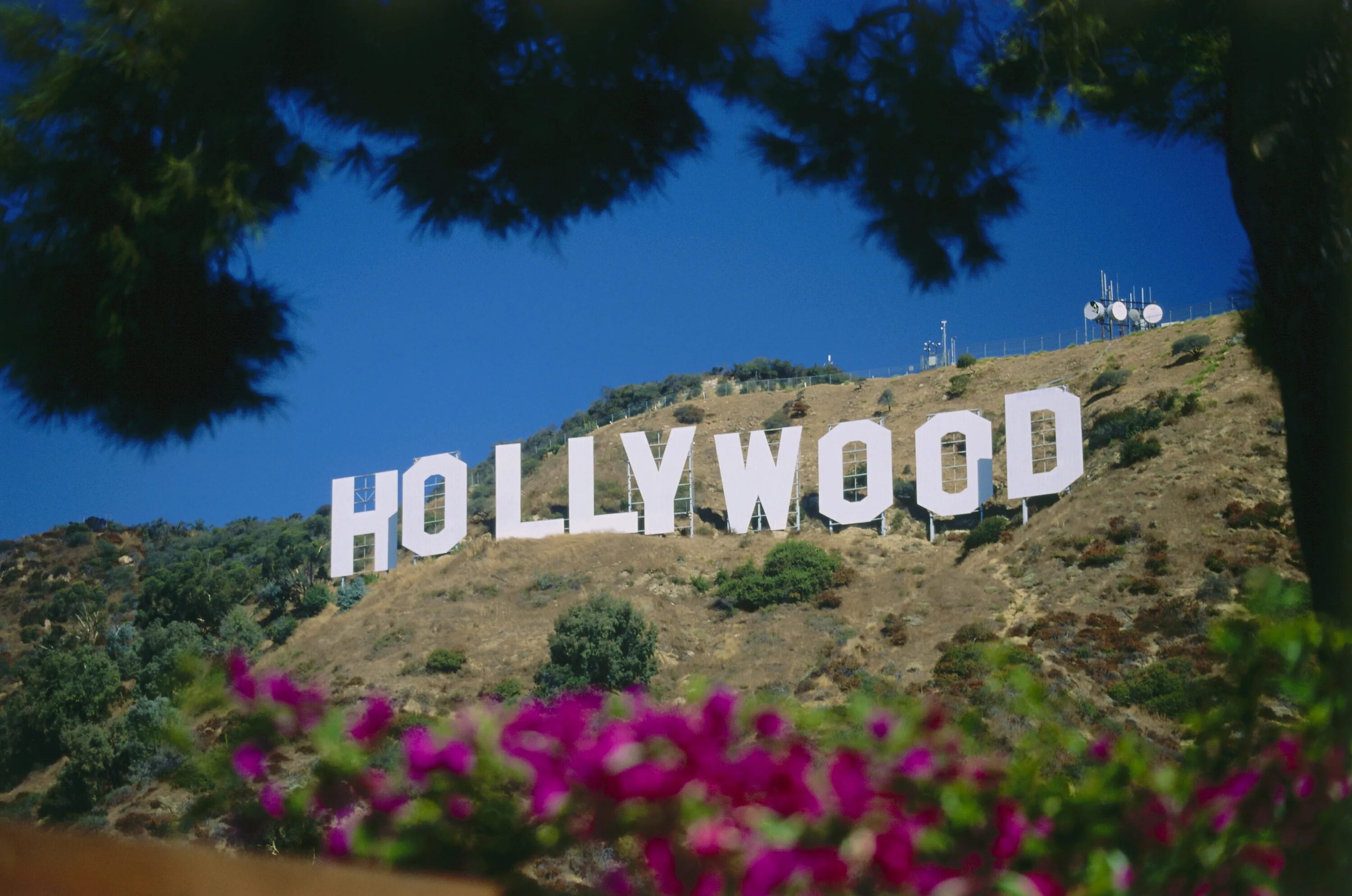 Your hollywood