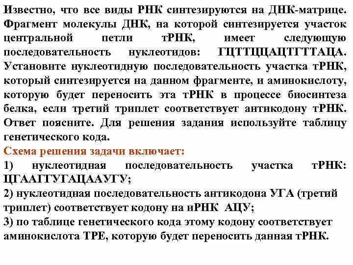 Известно что все виды РНК синтезируются. Известно что все виды РНК синтезируются на ДНК матрице. Все виды РНК синтезируются на ДНК матрице. Известно что все типы РНК синтезируются на.