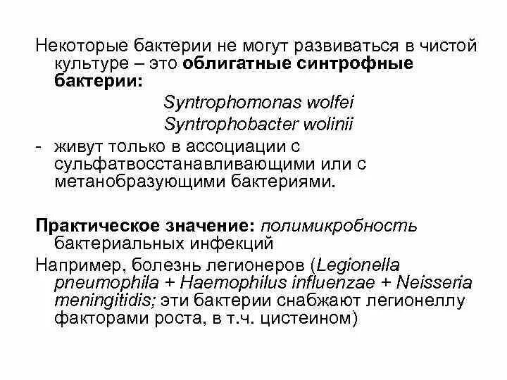 Некоторые бактерии. Некоторые бактерии