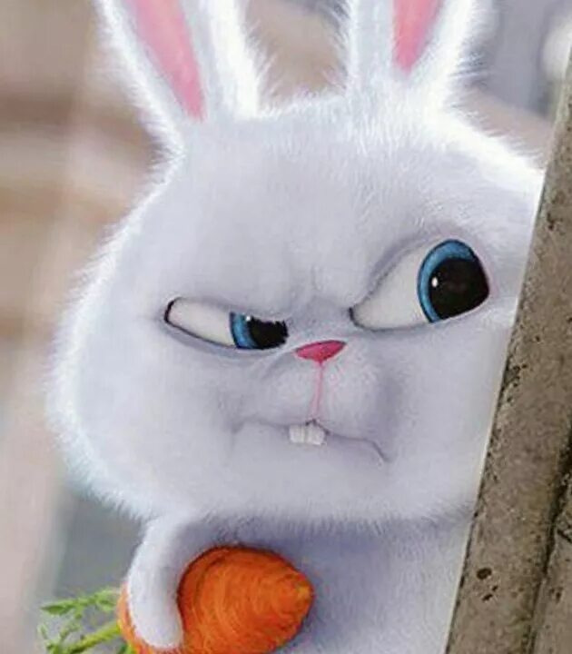 тайная жизнтдомашних животных кролик. тайная жизнь домашних животных кролик злой. тайная жизнь домашних животных кролик снежок. тайная жизнь домашних заяц. снежок из тайная жизнь домашних животных.