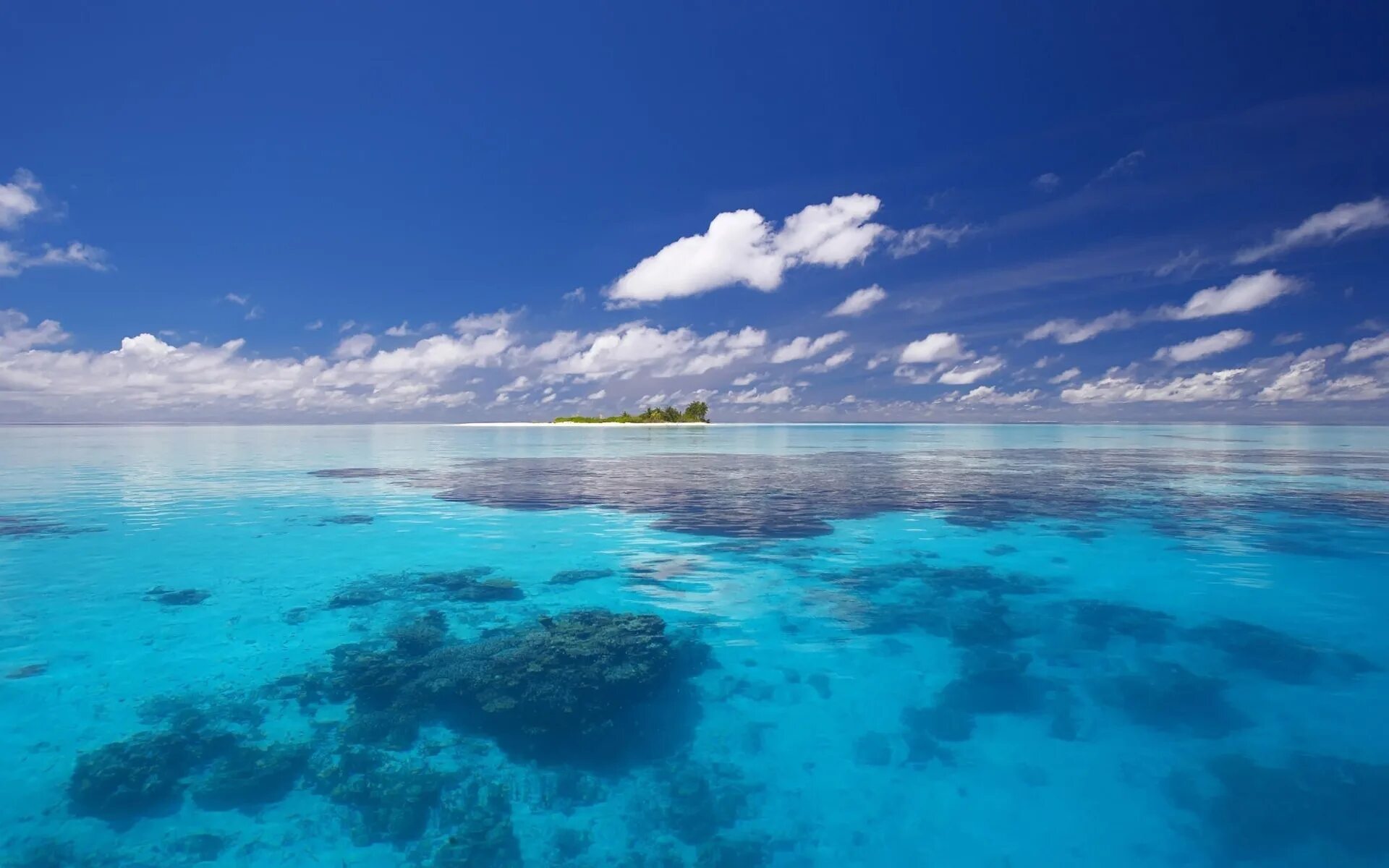 Океаном купить москва. Мальдивы Лагуна риф. Карибское море голубая Лагуна. Парадиз остров Карибского моря. Тропические острова Тихого океана Игнатьев.