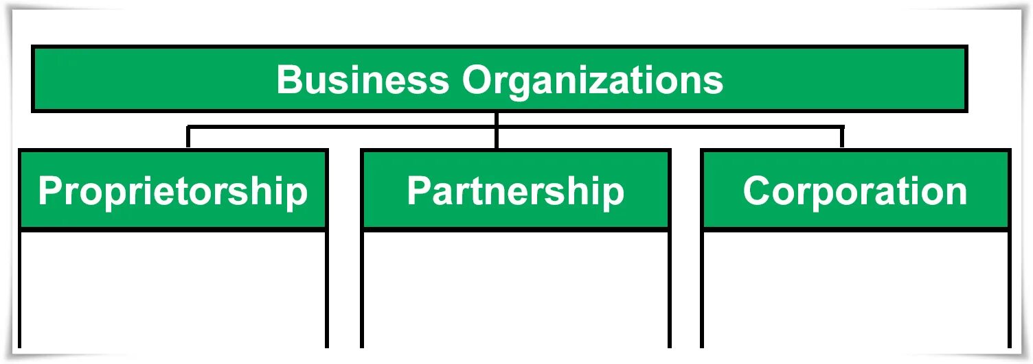 Forms of business organization. Type of business organization. types of business organizations. types of bascinets.
