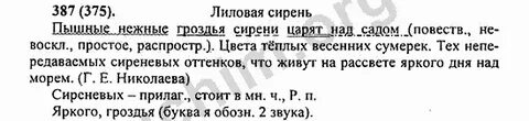 Русский язык 5 класс упр 387