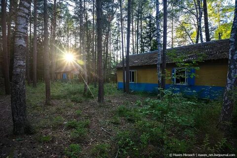 Лагерь дружный ленинградская область