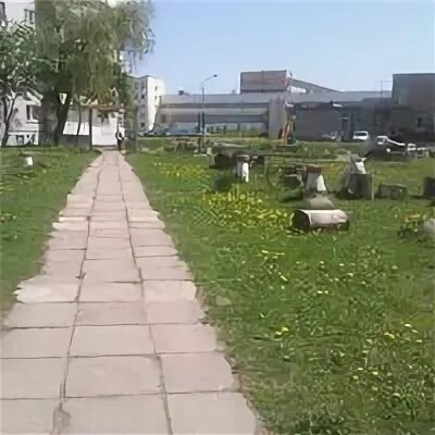 Петруся бровки диспансер