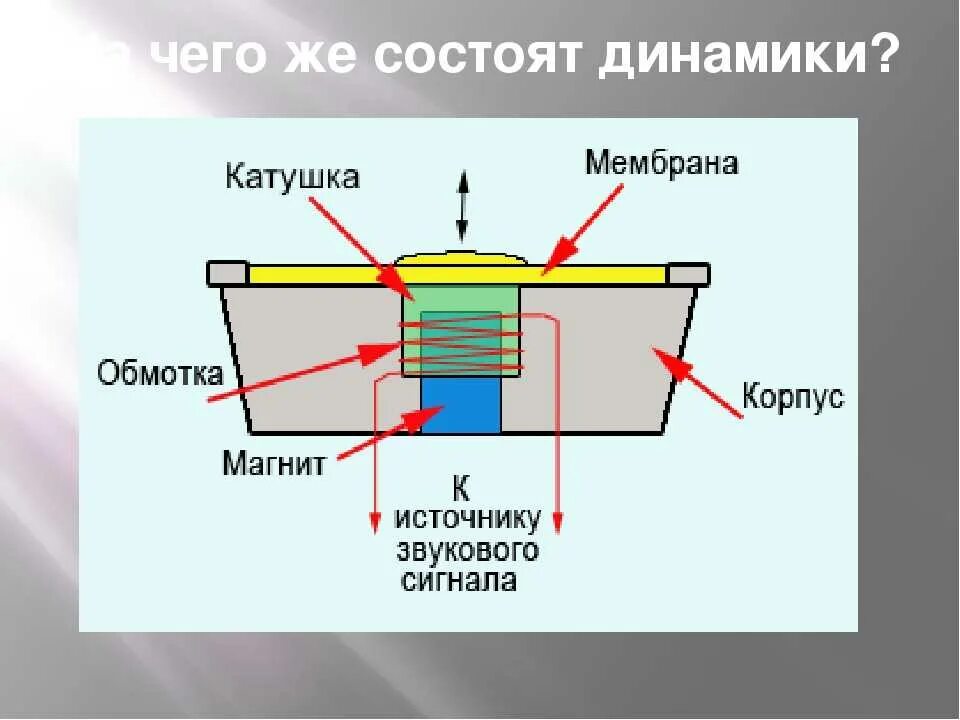 Схема динамика колонки
