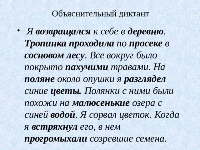 Я возвращался к себе в деревню тропинка проходила по просеке. Диктант тропинки. Объяснительный диктант. Объяснительный диктант в лесу. Объяснительный диктант 2 класс имя существительное