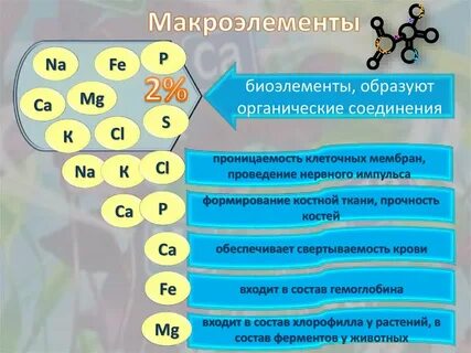 Что такое микроэлементы и их биологическое значение
