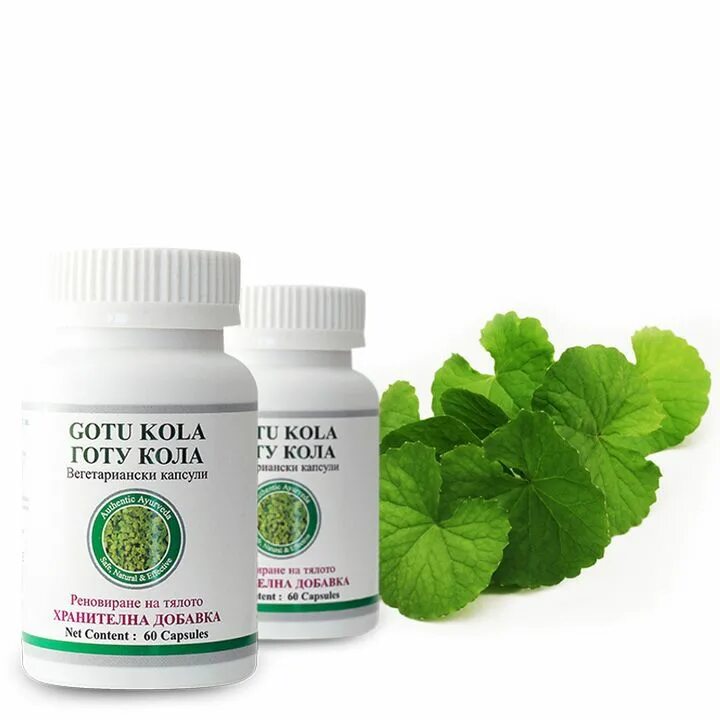 Польза готу колы. Готу кола НСП IHERB. Gotu kola капсулы. Сок Готу кола. Солгар экстракт Готу кола.