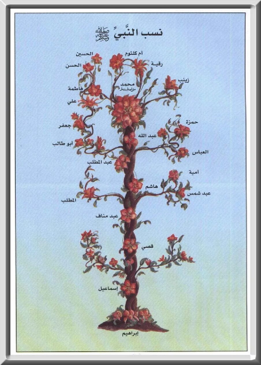 Генеалогическое Древо пророка Мухаммада. Семейное Древо пророка Мухаммеда. Родословная дерево пророка Мухаммеда. Семейное дерево пророка Мухаммеда.