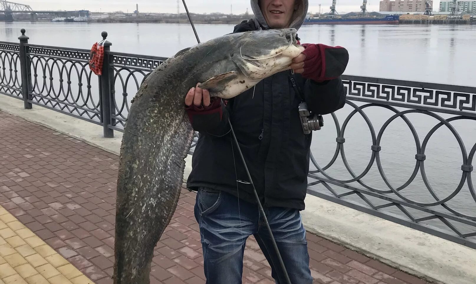 Щука Астрахань. Сом в Москве реке. Рыба в Неве. Самая большая рыба в Неве. Ловить рыбу в москве реке