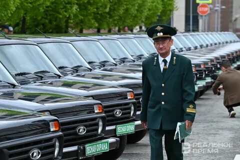 955 приказ о лесной охране