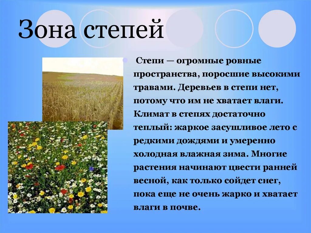 Степь россии характеристика природной зоны. Сообщение о зоне степей. Описание степи. Зона степей климат. Зона степей доклад.