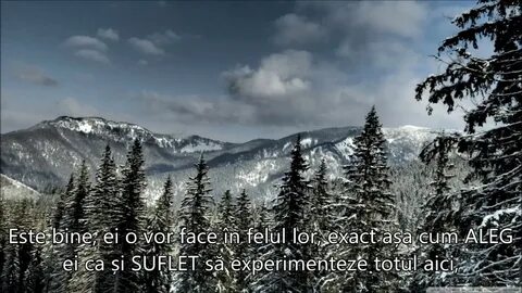 Пика хвоя