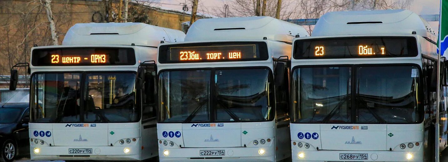 Транспорт новосибирск автобус. Автобус Новосибирск 2022. Новые автобусы. Новые автобусы 2022. Новые автобусы Новосибирск.