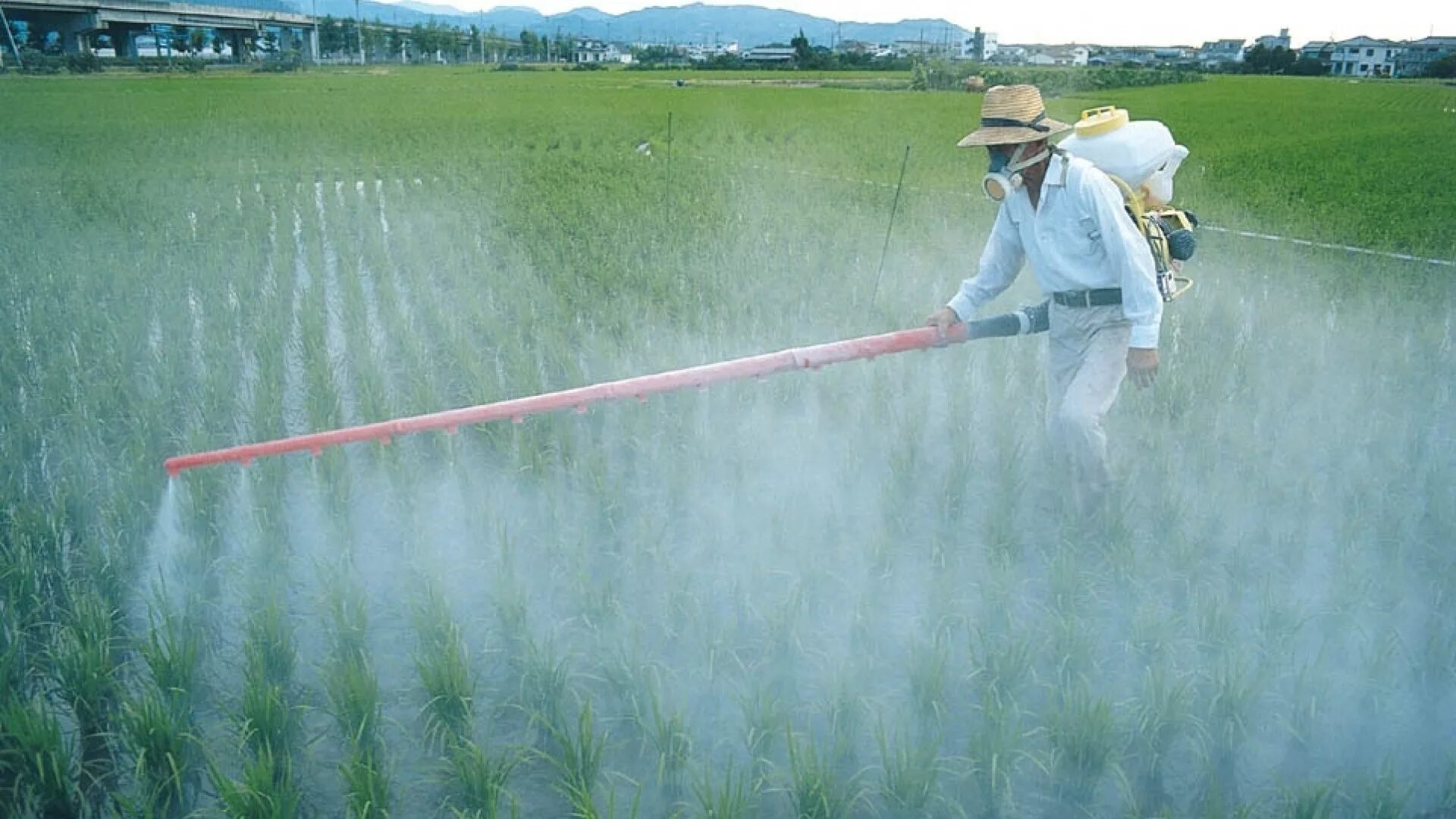 Первые пестициды. Загрязнение почв ядохимикатами и удобрениями. Сельское хозяйство загрязнение. Загрязнение почвы пестицидами. Пестициды и гербициды.