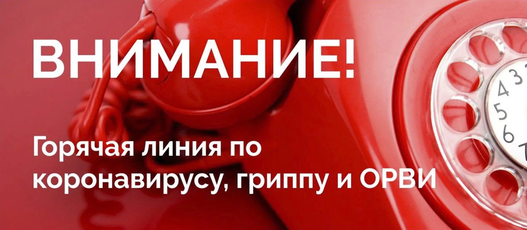 Роспотребнадзор единый консультационный центр. Единый консультационный центр роспотребнадзора 8-800-555-49-43. 800 555 49 43. 800 555 49 43. 800 555 49 43.