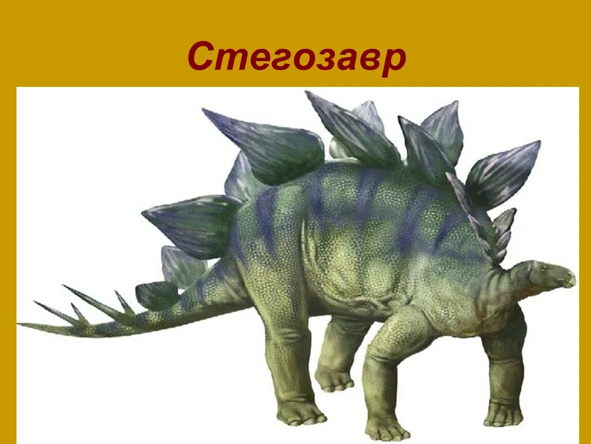 Стегозавр есть. Стегозавр арматус. стегозавры (инфраотряд). стегозавр динозавр. стегозавр с шипами на спине.