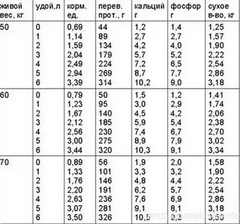 Масса козленка 6 3 4 а масса