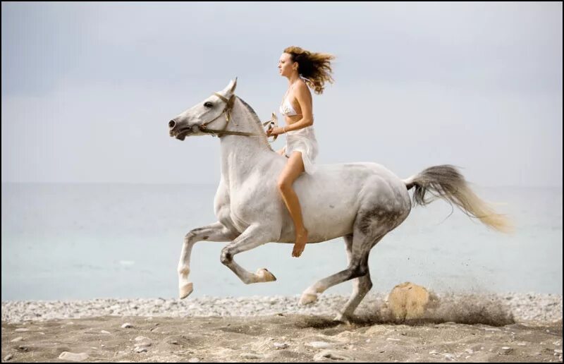 Девушка скачет на лошади. Девушка на белом коне. Девушка с лошадью. Фотосессия с лошадьми.