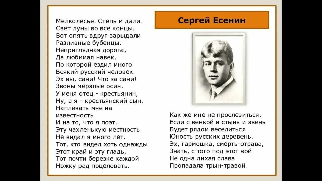 Мелколесье Есенин 6 класс. Стихотворение Есенина мелколесье степь и дали. Стихотворение Есенина мелколесье.