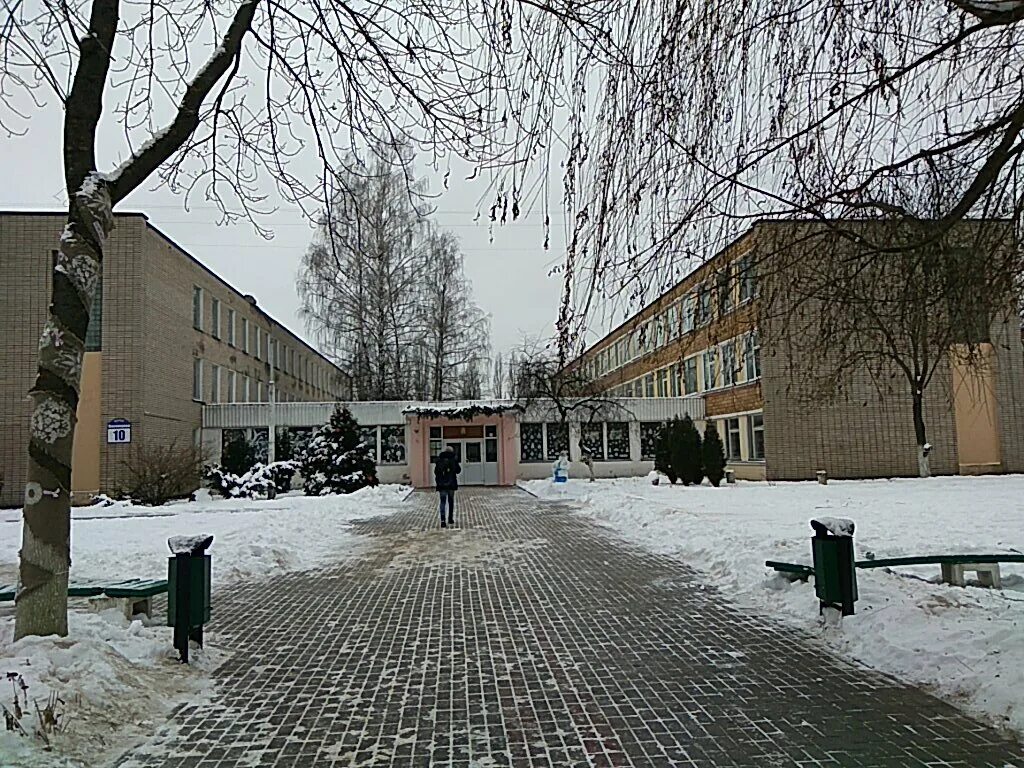 Гимназия 14 Новосибирск. Бассейн 14 гимназия. Гимназия 14 фото.