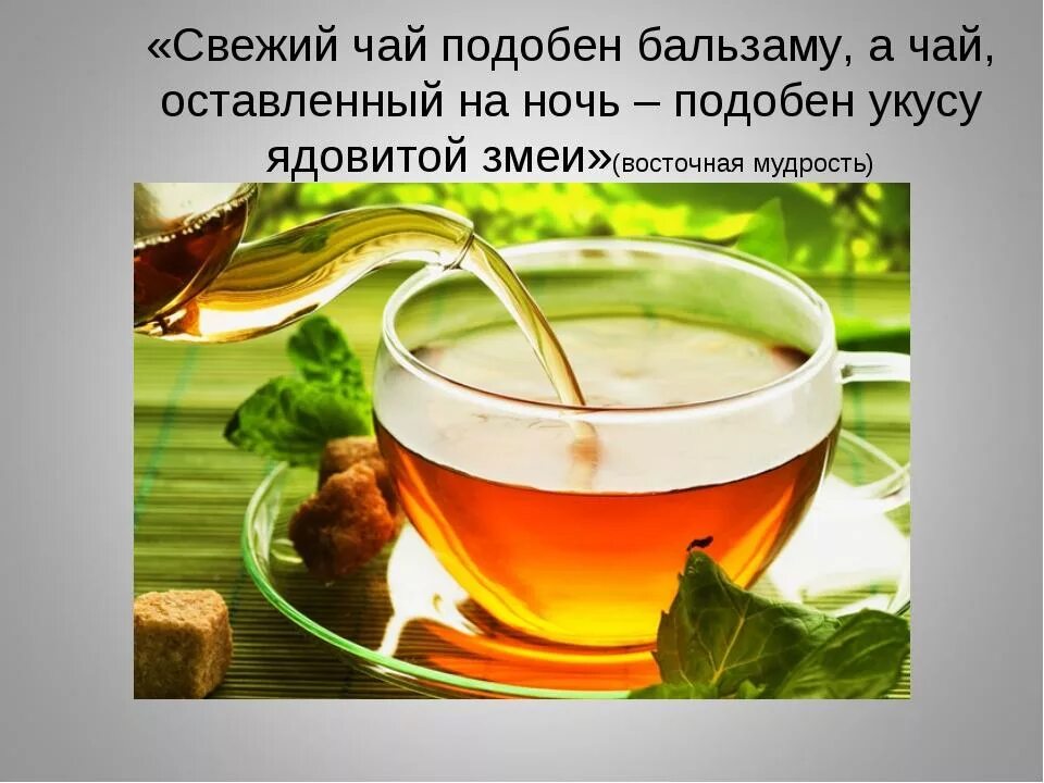 Песни пей чай зеленый. Высказывание про чаепитие. Тонизирующий чай. Мудрость про чай. Выражения про чай.